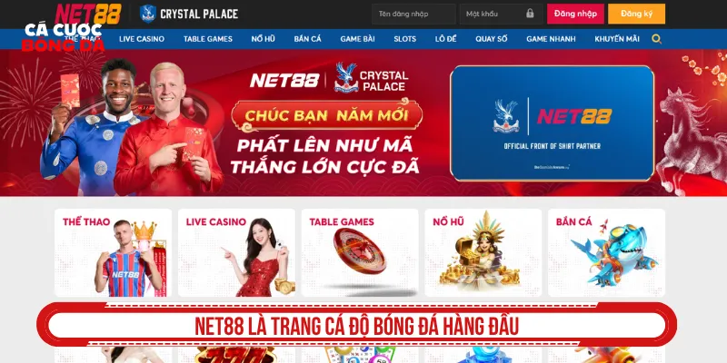 Khám phá trang cá độ bóng đá được săn đón