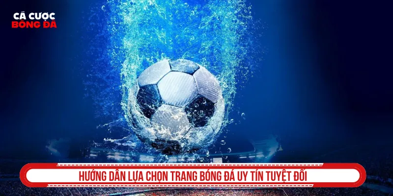 Tiêu chuẩn chọn trang cá độ bóng đá an toàn